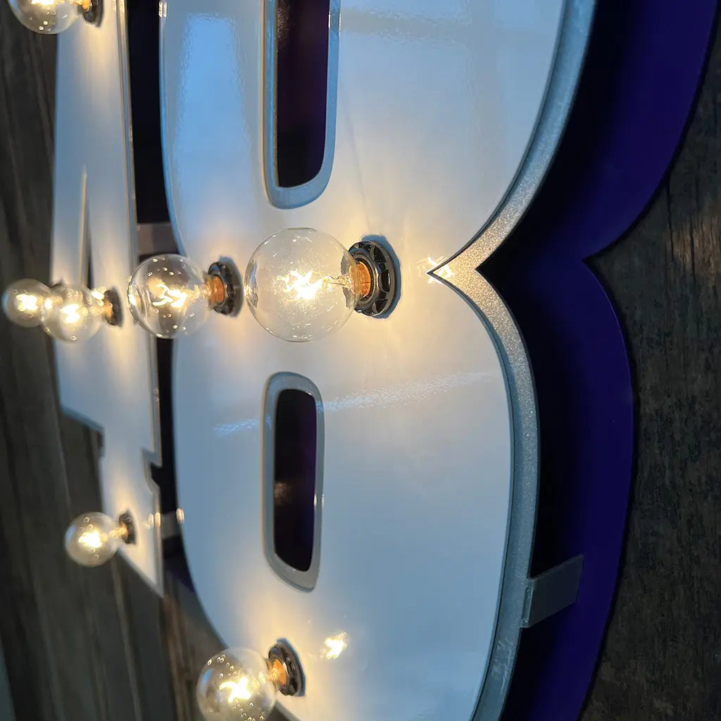 Alex Bowman #48 Small 3D Lit Sign