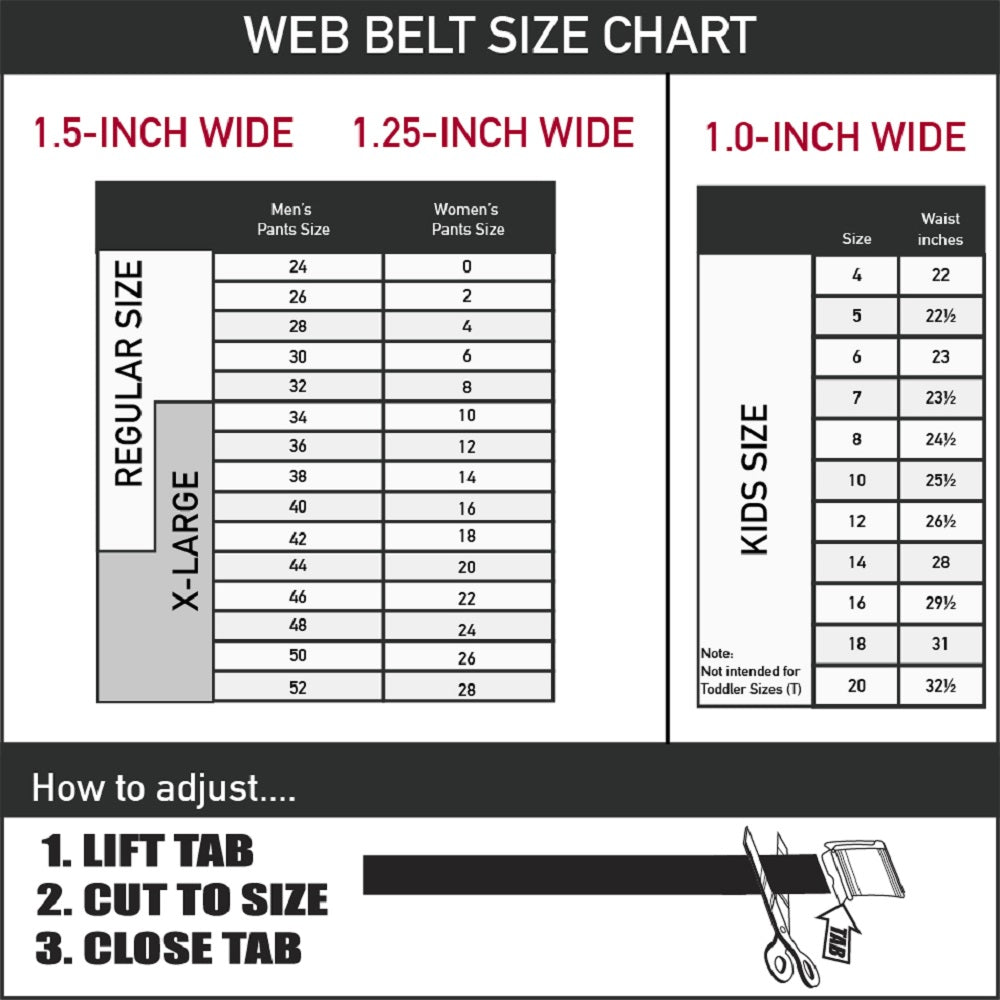 Chase Elliott #9 Autograph Prime Logo Web Belt