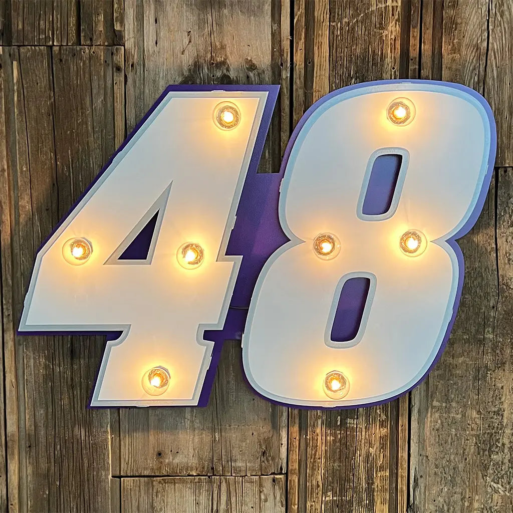 Alex Bowman #48 Small 3D Lit Sign
