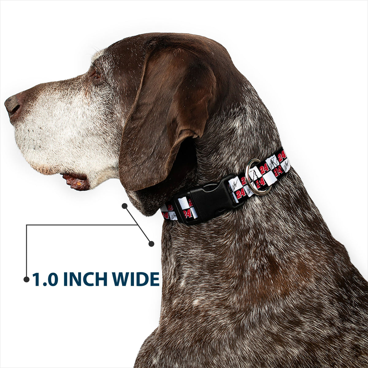 William Byron #24 Autograph Checker Plastic Clip Collar