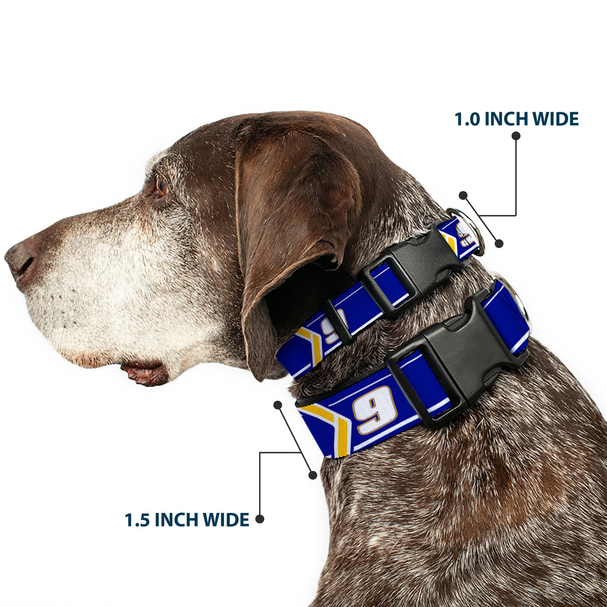 Chase Elliott #9 Car Scheme Plastic Clip Collar