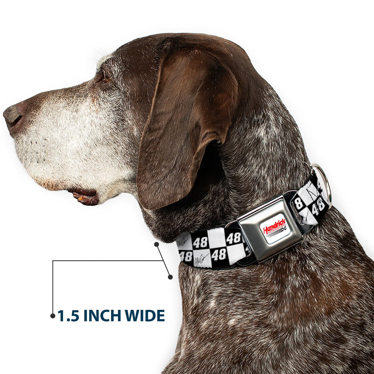 Alex Bowman #48 Autograph Checker Seatbelt Buckle Dog Collar