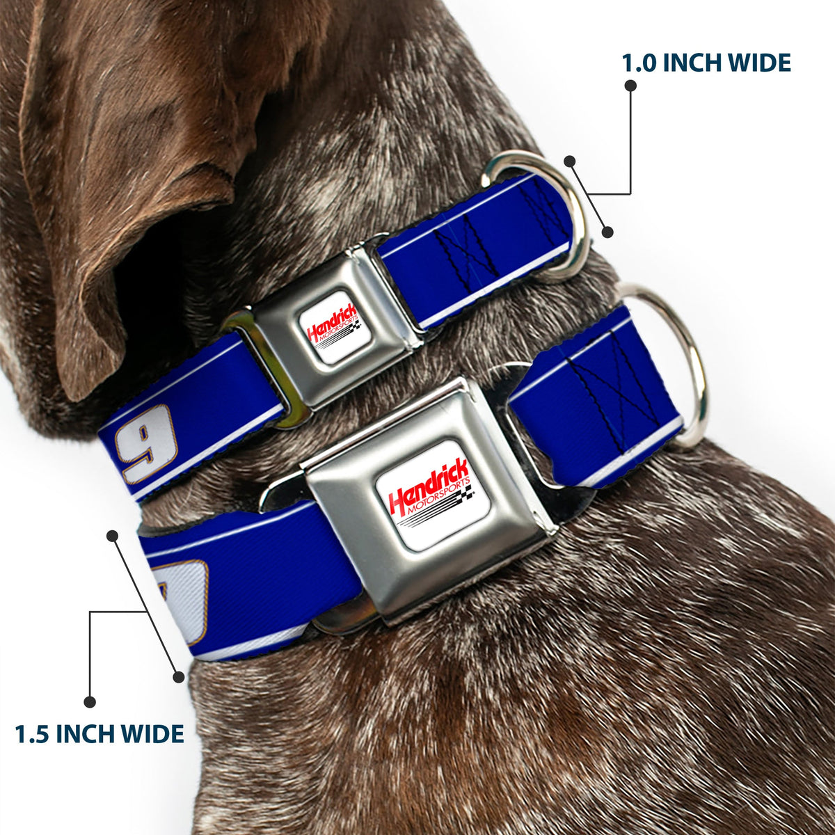 Chase Elliott #9 Car Scheme Seatbelt Buckle Dog Collar