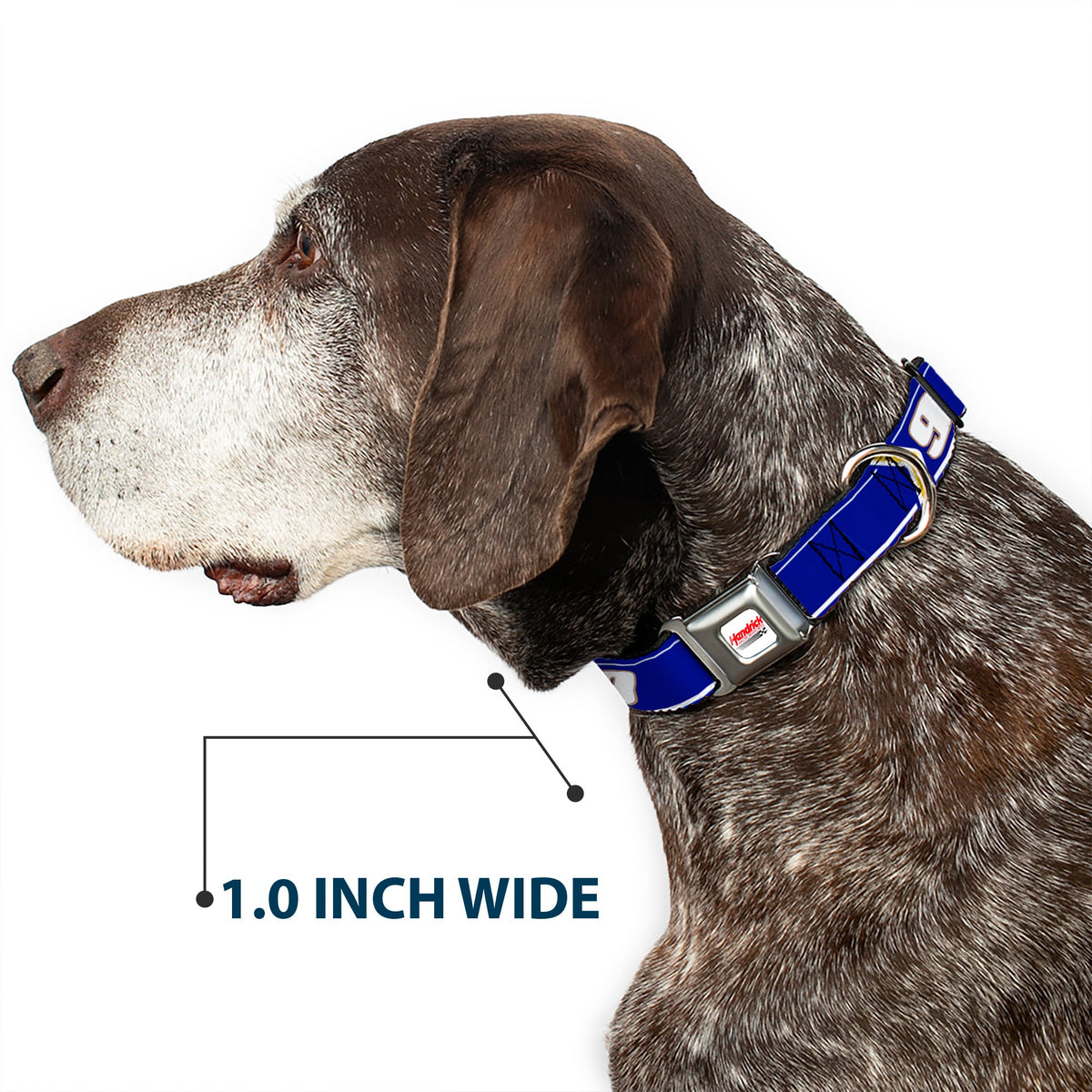 Chase Elliott #9 Car Scheme Seatbelt Buckle Dog Collar