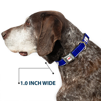 Chase Elliott #9 Car Scheme Seatbelt Buckle Dog Collar