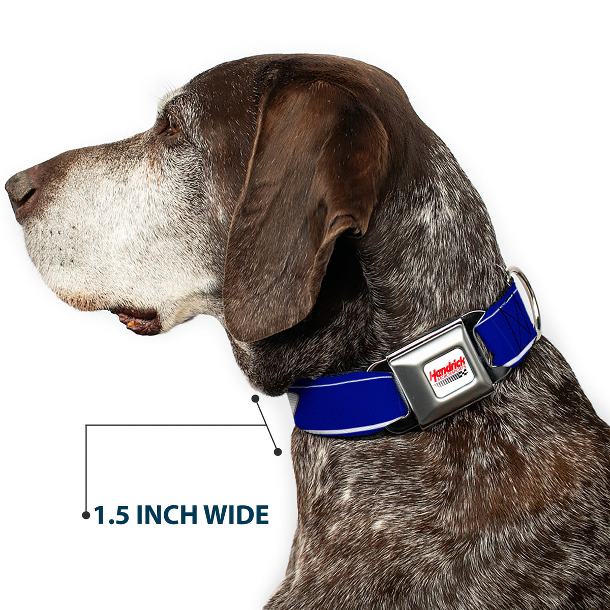 Chase Elliott #9 Car Scheme Seatbelt Buckle Dog Collar