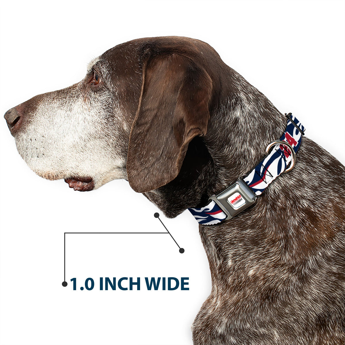 William Byron #24 Car Scheme Seatbelt Buckle Dog Collar