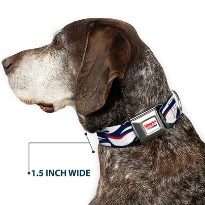 William Byron #24 Car Scheme Seatbelt Buckle Dog Collar