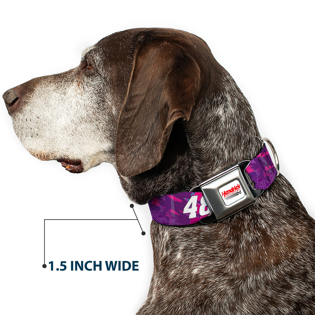 Alex Bowman #48 Car Scheme Seatbelt Buckle Dog Collar