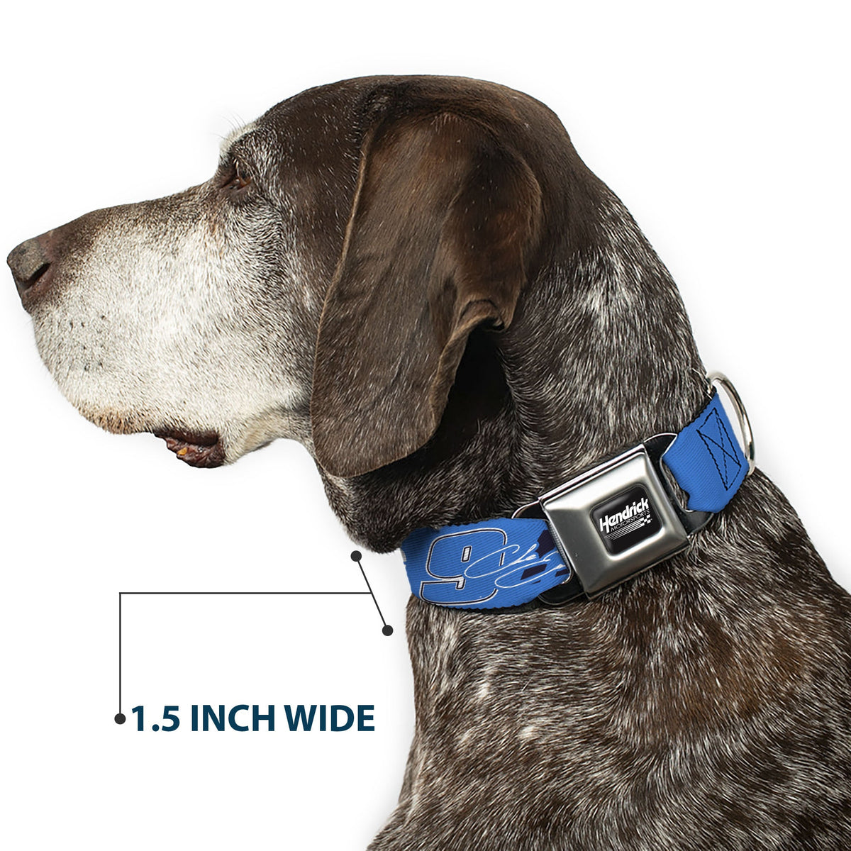 Chase Elliott #9 Autograph Prime Logo Seatbelt Buckle Dog Collar