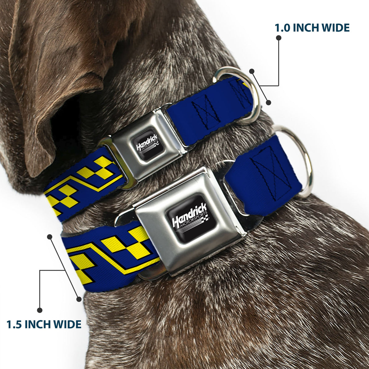 Jimmie Johnson #48 Autograph Checker Seatbelt Buckle Dog Collar