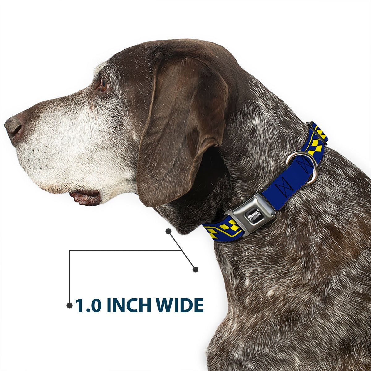 Jimmie Johnson #48 Autograph Checker Seatbelt Buckle Dog Collar