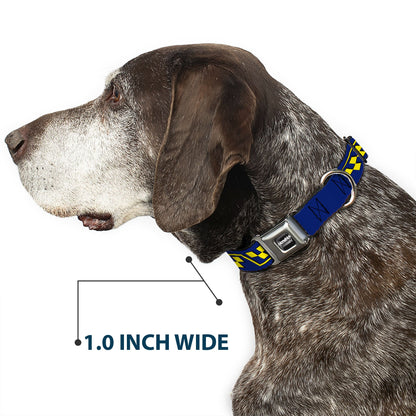 Jimmie Johnson #48 Autograph Checker Seatbelt Buckle Dog Collar