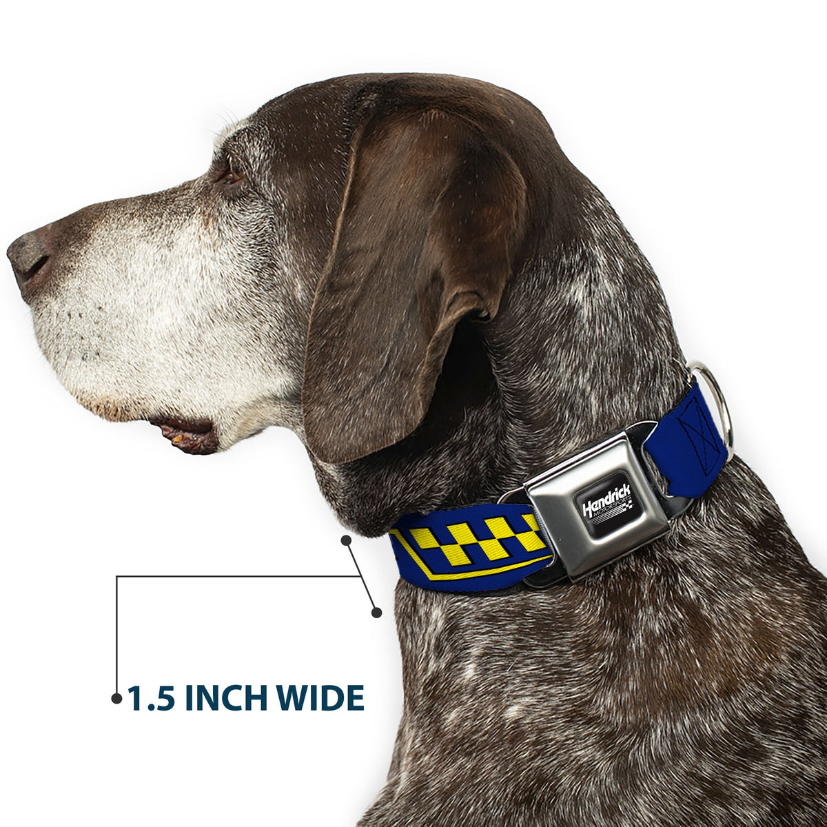 Jimmie Johnson #48 Autograph Checker Seatbelt Buckle Dog Collar