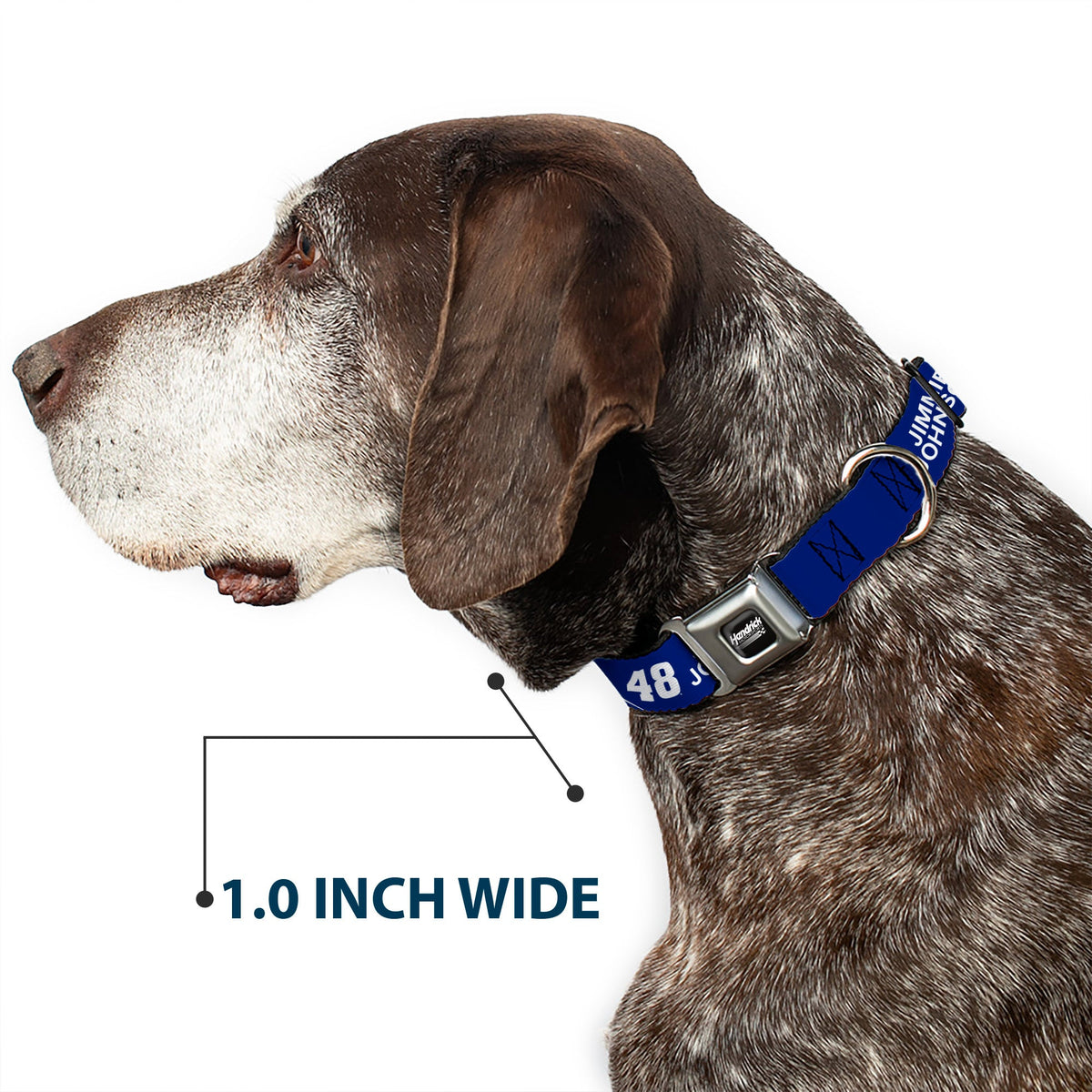 Jimmie Johnson #48 Lowe's Seatbelt Buckle Dog Collar
