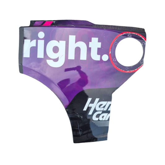 Race Used 2025 Alex Bowman #48 Ally Partial Left Rear Quarter Panel - Charlotte Roval