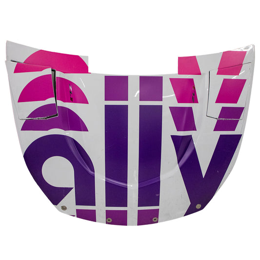 Race Used 2020 Jimmie Johnson #48 Ally Hood - Talladega 2