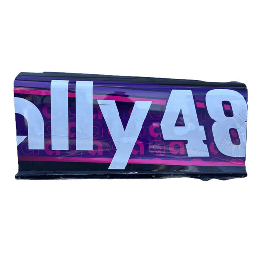 Race Used 2025 Alex Bowman #48 Ally Right Side Door - Inaugural Mexico City