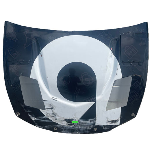 Race Used 2025 Alex Bowman #48 Ally Hood - Michigan