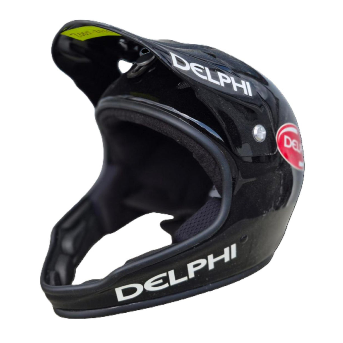 Race Used Hendrick Motorsports 2008-2010 #5 Delphi Pit Helmet